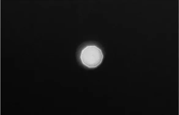 1761018806126396.png 搜222.png