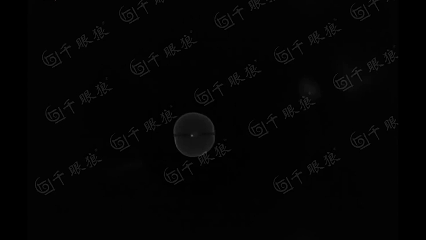气体腔内燃烧02.gif