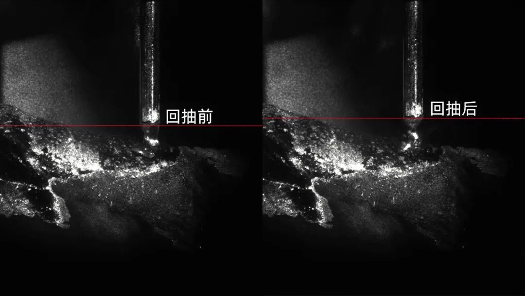 1755505778489756.jpg 1.jpg