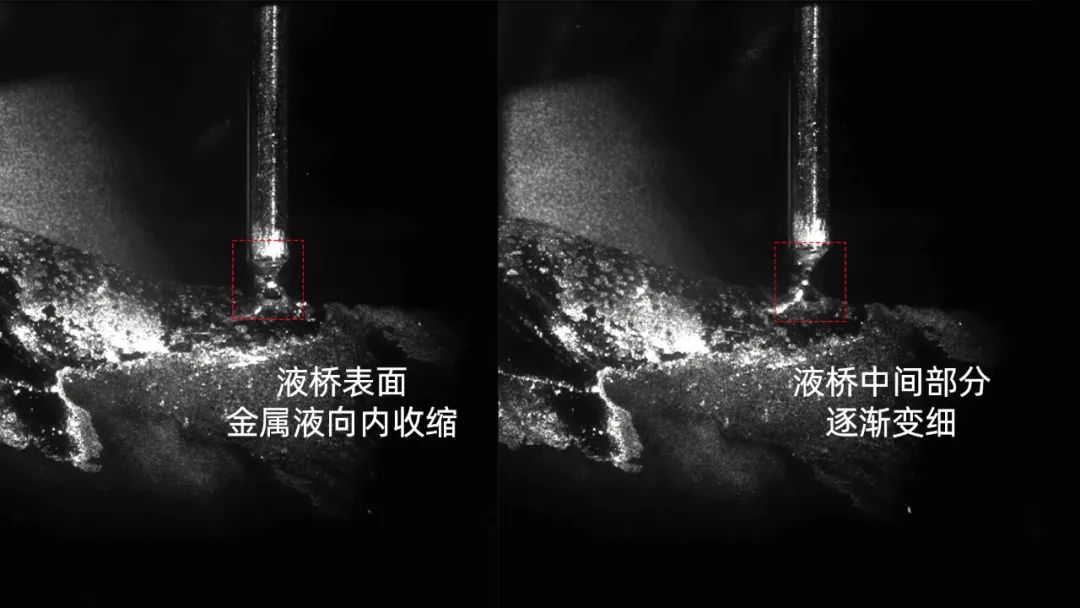 1755505803634064.jpg 2.jpg