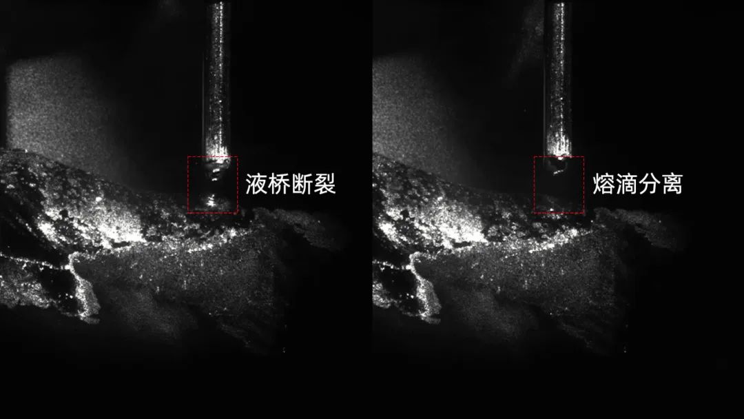 1755505836315581.jpg 3.jpg