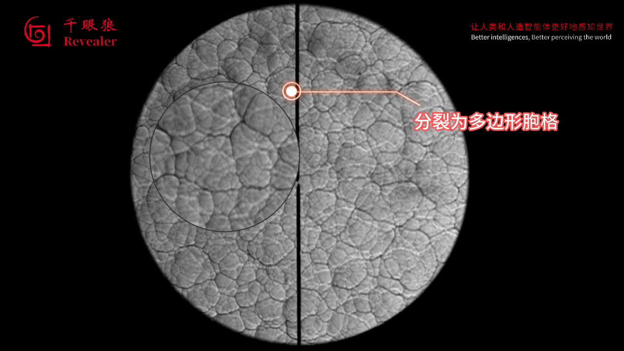 1755597397367167.png 图片4.png