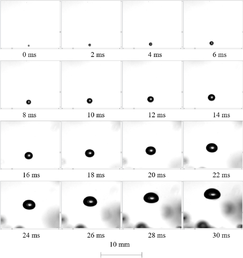 1762997732637028.png 21.png