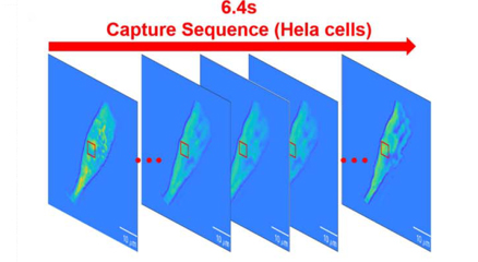 基于sCMOS相机单次曝光并行四步相移的定量相位成像研究